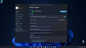 Windows-11 24