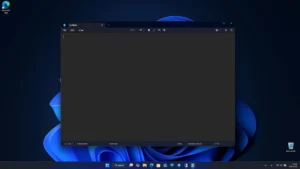 Windows-11 31
