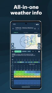 Windy.app 2