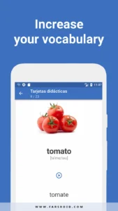Words-Learn-Languages 3