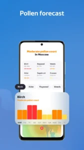 Yandex-Weather 5