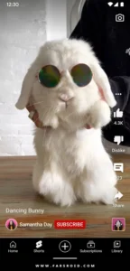 YouTube 2