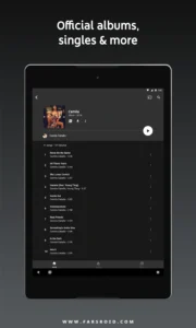 YouTube-Music 11