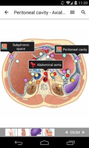 E-Anatomy 2