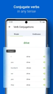 iTranslate-PRO 5