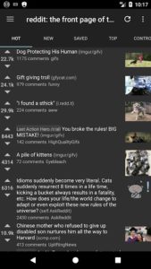 rif-is-fun-golden-platinum-for-Reddit 1