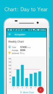 Accupedo-Pedometer 1