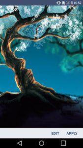 Woody-Land-Tree-live-wallpaper-Parallax-3D-Pro 3