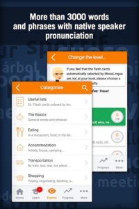 Learn-German-with-MosaLingua 3