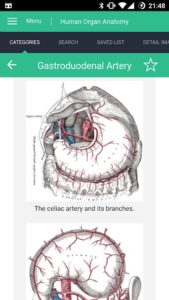 Human-Organs-Anatomy-Reference-Guide 6