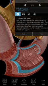 Physiology-Pathology 6