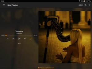 Hi-Fi-Cast-Music-Player 10